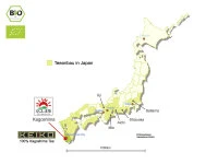 KEIKO Matcha Tekiro, Dose, 30 G 6 KEIKO Matcha Tekiro, Dose, 30 G – Bild 4