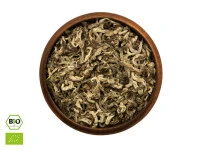 Snow Dragon 1st Grade BIO